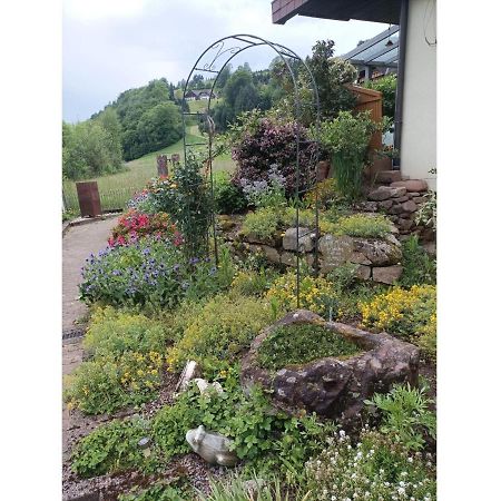 Ferienwohnung Wiesenblick Oberharmersbach Esterno foto